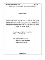 Nghiên cứu thực trạng, một số yếu tố liên quan đến nhiễm giun lươn strongyloides spp và kết quả điều trị bằng ivermectin tại huyện đức hoà, tỉnh long an (2017 – 2018) 
