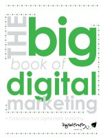 Big book of digital marketing