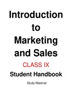 MARKETING ANH SALES IX