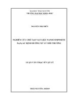 Nghiên cứu chế tạo vật liệu nanocomposite Fe3O4AC định hướng ứng dụng xử lý môi trường 