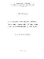 Các phương trình thuần nhất hóa dạng hiện trong miền với biên phân chia có độ nhám cao và ứng dụng 