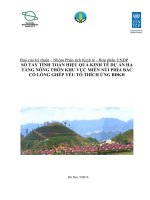 SỔ TAY TÍNH TOÁN HIỆU QUẢ KINH TẾ DỰ ÁN HẠ TẦNG NÔNG THÔN KHU VỰC MIỀN NÚI PHÍA BẮC CÓ LỒNG GHÉP YẾU TỐ THÍCH ỨNG BĐKH