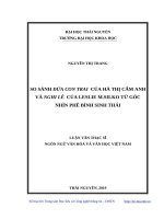 So sánh đứa con trai của hà thị cẩm anh và nghi lễ của leslie m silko từ góc nhìn phên bình sinh thái 