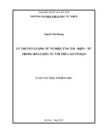 Lý thuyết lượng tử về hiệu ứng âm điện từ trong hố lượng tử với thế cao vô hạn 
