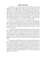 Tiểu luận cao cấp chính trị: Vận dụng việc xây đựng và nâng cao vai trò của giai cấp  công nhân, nước lao động trong thời kỳ công nghiệp hoá, hiện đại hóa