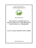 Thực Trạng Và Giải Pháp Nâng Cao Hiệu Quả Kinh Tế Cây Cà Phê Trên Địa Bàn Huyện Mường Ảng