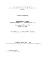VĂN hóa PHẬT GIÁO TRONG đời SỐNG của NGƯỜI VIỆT ở lào 