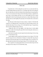 Kế toán bán nhóm hàng ô tô tải tại công ty CP ô tô Việt Hàn Bắc Giang