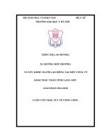 XU HƯỚNG MÔI TRƯỜNG VÀ SỨC KHỎE NGƯỜI LAO ĐỘNG TẠI MỘT CÔNG TY KHAI THÁC THAN TỈNH LẠNG SƠN