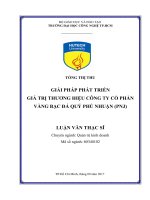 Giải Pháp Phát Triển Giá Trị Thương Hiệu Công Ty Cổ Phần Vàng Bạc Đá Quý Phú Nhuận (PNJ)