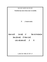 Ảnh hưởng của điện tử giam cầm và phonon giam cầm lên một số tính chất quang trong các hệ bán dẫn thấp chiều 