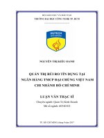 Quản Trị Rủi Ro Tín Dụng Tại Ngân Hàng TMCP Đại Chúng Việt Nam Chi Nhánh Hồ Chí Minh