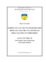 Nghiên Cứu Các Yếu Tố Ảnh Hưởng Đến Động Lực Làm Việc Của Người Lao Động Tại Công Ty TNHH Nissey