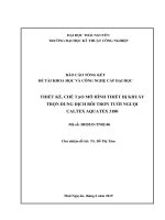 THIẾT KẾ, CHẾ TẠO MÔ HÌNH THIẾT BỊ KHUẤY TRỘN DUNG DỊCH BÔI TRƠN TƢỚI NGUỘI CALTEX AQUATEX 3180