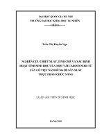 Nghiên cứu chiết xuất, tinh chế và xác định hoạt tính sinh học của một vài carotenoid từ cây cỏ việt nam dùng để sản xuất thực phẩm chức năng   luận văn TS  sinh học  62 42 30 15 