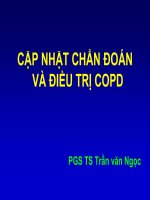 BÀI GIẢNG CẬP NHẬT CHẨN ĐOÁN VÀ ĐIỀU TRỊ COPD