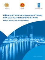 NĂNG SUẤT VÀ KHẢ NĂNG CẠNH TRANH CỦA CÁC DOANH NGHIỆP VIỆT NAM
