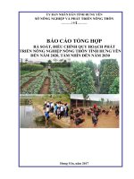 BÁO CÁO TỔNG HỢP RÀ SOÁT, ĐIỀU CHỈNH QUY HOẠCH PHÁT TRIỂN NÔNG NGHIỆP NÔNG THÔN TỈNH HƯNG YÊN ĐẾN NĂM 2020, TẦM NHÌN ĐẾN NĂM 2030