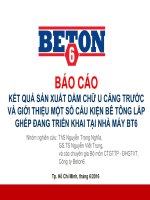 BÁO CÁO KẾT QUẢ SẢN XUẤT DẦM CHỮ U CĂNG TRƯỚC VÀ GIỚI THIỆU MỘT SỐ CẤU KIỆN BÊ TÔNG LẮP GHÉP ĐANG TRIỂN KHAI TẠI NHÀ MÁY BT6