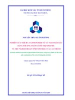 Nghiên cứu trích ly Ginsenoside từ củ tam thất bắc bằng phương pháp có hỗ trợ enzyme và thử nghiệm hoạt tính sinh học của cao trích