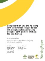 Biện pháp thích ứng cho hệ thống canh tác dựa trên lúa gạo tại các tỉnh Đồng bằng Sông Cửu Long trong bối cảnh biến đổi khí hậu: Báo cáo đánh giá