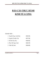 Bài tập nhóm môn kinh tế lượng 