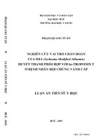 (Luận án tiến sĩ) Nghiên cứu vai trò chẩn đoán của IMA (Ischemia Modified Albumin) huyết thanh phối hợp với hsTroponin T ở bệnh nhân hội chứng vành cấp