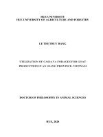 SỬ DỤNG CÂY KHOAI MÌ (SẮN) ĐỂ PHÁT TRIỂN CHĂN NUÔI DÊ Ở AN GIANG, VIỆT NAM