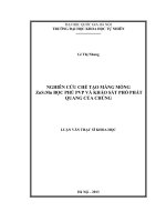 Nghiên cứu chế tạo màng mỏng zns mn bọc phủ PVP và khảo sát phổ phát quang của chúng 