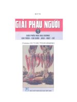 Sách Giải phẫu Trịnh Văn Minh Đại học y Hà nội tập 1