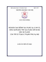 Nghiên cứu bệnh sâu răng và đánh giá hiệu quả điều trị sâu răng sớm bằng Véc-ni fluor của trẻ 3 tuổi ở Thành phố Hà Nội.