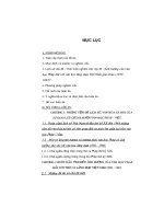 Bước đầu tìm hiểu ảnh hưởng của văn học pháp đối với văn học lãng mạn việt nam giai đoạn 1930 1945 