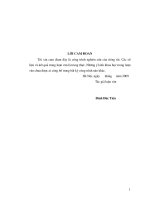 Những dấu ấn văn hoá chăm ở hà nội 