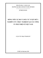 Dòng tiền tự do và đầu tư vượt mức  nghiên cứu thực nghiệm tại các công ty phát điện ở việt nam 