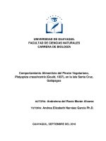 Comportamiento Alimenticio del Pinzón Vegetariano, Platyspiza crassirostris (Gould, 1837), en la isla Santa Cruz, Galápagos