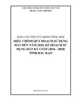 BÁO CÁO THUYẾT MINH TỔNG HỢP ĐIỀU CHỈNH QUY HOẠCH SỬ DỤNG ĐẤT ĐẾN NĂM 2020, KẾ HOẠCH SỬ DỤNG ĐẤT KỲ CUỐI (2016 - 2020) TỈNH BẮC KẠN