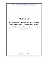 KẾ HOẠCH ỨNG PHÓ SỰ CỐ BỨC XẠ, HẠT NHÂN TRÊN ĐỊA BÀN TỈNH QUẢNG NINH