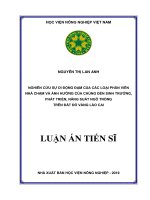 Nghiên Cứu Sự Di Động Đạm Của Các Loại Phân Viên Nhả Chậm Và Ảnh Hưởng Của Chúng Đến Sinh Trưởng