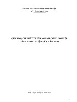 QUY HOẠCH PHÁT TRIỂN NGÀNH CÔNG NGHIỆP TỈNH NINH THUẬN ĐẾN NĂM 2020