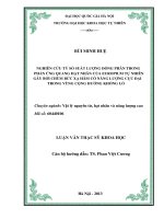 Nghiên cứu tỷ số suất lượng đồng phân trong phản ứng quang hạt nhân của europium tự nhiên gây bởi chùm bức xạ hãm có năng lượng cực đại trong vùng cộng hưởng khổng lồ 