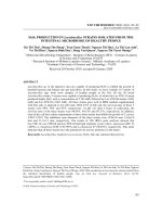 Khả năng sinh H2O2 của các chủng vi khuẩn Lactobacillus phân lập từ hệ vi khuẩn đường ruột của người khỏe mạnh