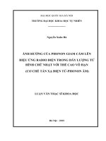 Ảnh hưởng của phonon giam cầm lên hiệu ứng radio điện trong dây lượng tử hình chữ nhật với thế cao vô hạn (cơ chế tán xạ điện tử   phonon âm) 