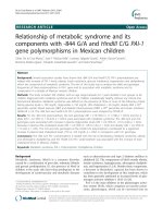 Relationship of metabolic syndrome and its components with -844 G/A and HindIII C/G PAI-1 gene polymorphisms in Mexican children