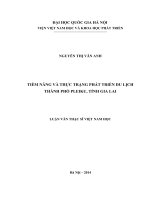 Tiềm năng và thực trạng phát triển du lịch thành phố pleiku, tỉnh gia lai 