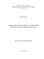 Chiến lược đầu tư tối ưu cực tiểu hóa phương sai với thời gian rời rạc 