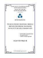 Ứng dụng enzyme viscozyme l trích ly hợp chất polyphenol trà oolong sản xuất từ trà xén cành kim tuyên