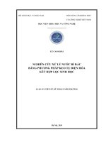 (Luận án tiến sĩ) Nghiên cứu xử lý nước rỉ rác bằng phương pháp keo tụ điện hóa kết hợp lọc sinh học