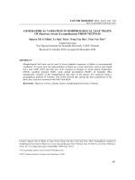 Geographical variation in morphological leaf traits of Huperzia serrata (Lycopodiaceae) from Vietnam