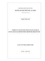 Nghiên cứu chuyển hóa một số isatin thiosemicarbazon thế 