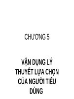 Bài giảng Kinh tế vi mô 2: Chương 5 - Hồ Hữu Trí (2018)